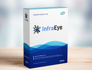 인프라아이(InfraEye)