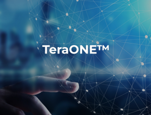TeraONE