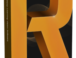 Neuro-R - 런타임 API