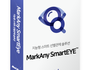 Smart EYE (AI 영상 관제/분석 솔루션)