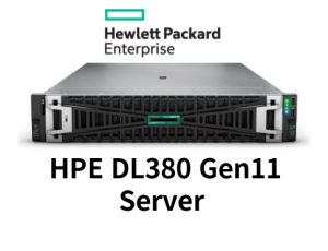 HPE DL380 Gen11 Server