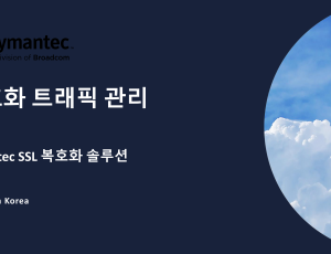 [SSLVA](SSL Visibility Appliance) - 암호화 트래픽 복호화 솔루션