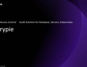 QueryPie - DB접근제어 솔루션